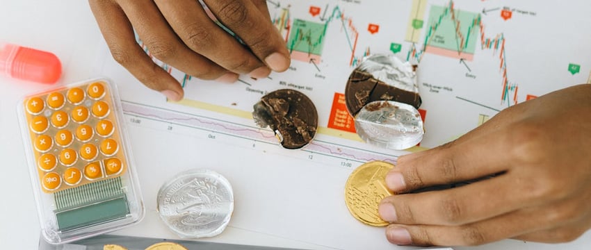 До 500 базовых. Какой штраф можно получить, если собирать грибы не по правилам?