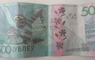 Женщина попросила знакомого обменять «500 цублёў». Вот что бывает за такие просьбы