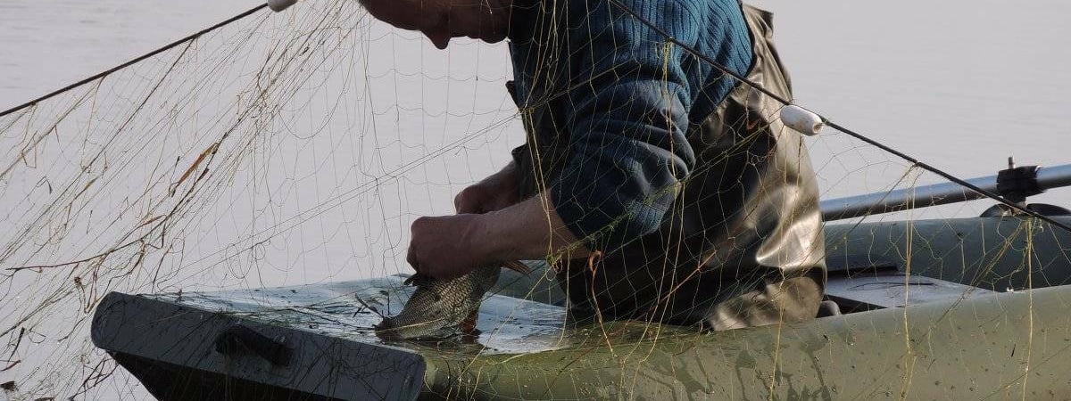 В природоохране рассказали, как белорусским браконьерам избежать штрафа в 1200 рублей. Вот что нужно сделать — Полезно