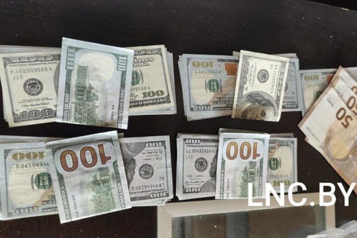 Доллары, найденые клинерами в подушке жительницы Минска. Фото: lnc.by