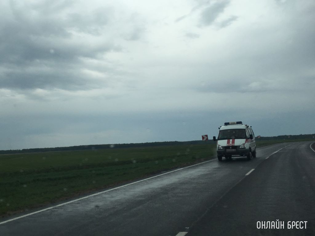 Фото носит иллюстративный характер