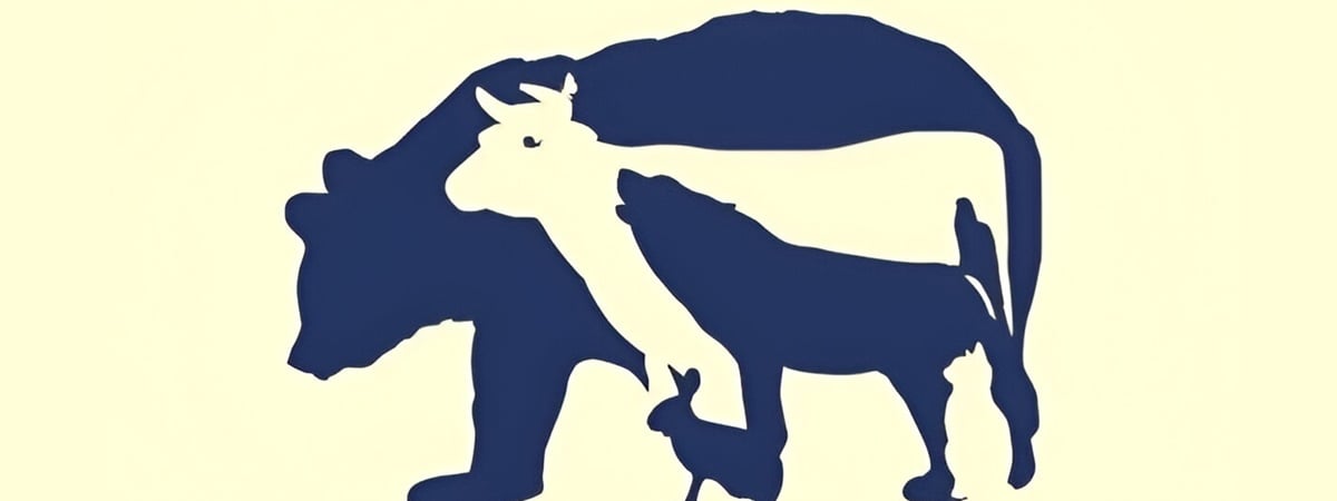 Сколько животных на картинке? Мало кто может найти всех — Фото