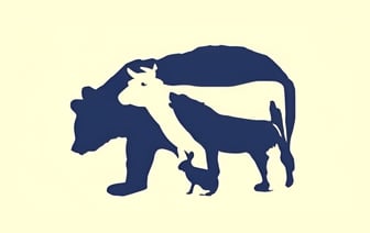 Сколько животных на картинке? Мало кто может найти всех — Фото