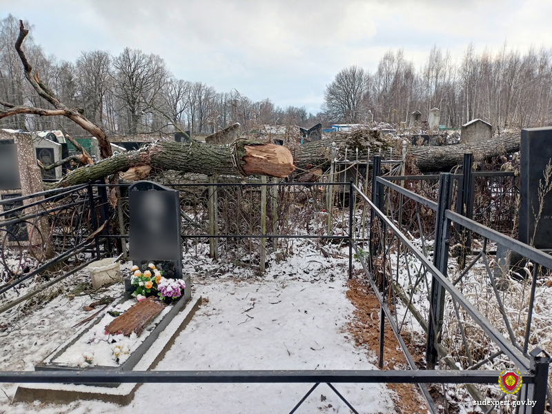 Молодой мужчина погиб на кладбище. Подробности