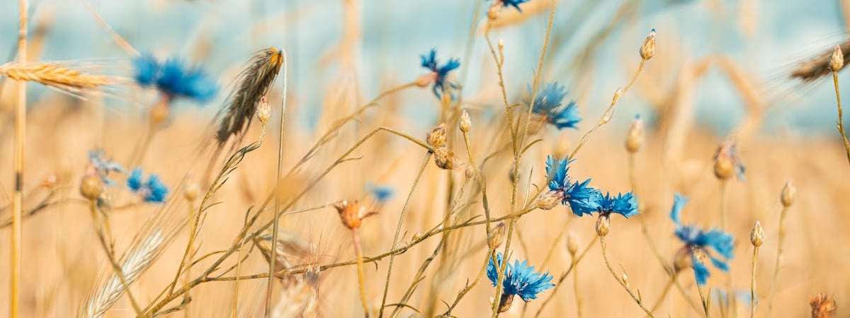 На границе Беларуси с Литвой по-прежнему сохраняются очереди фур