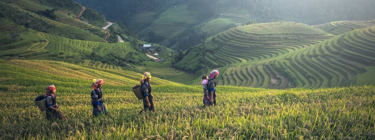 Польские фермеры сняли блокаду двух пунктов пропуска на границе с Украиной