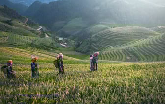 Польские фермеры сняли блокаду двух пунктов пропуска на границе с Украиной