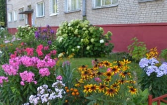 За благоустройство клумбы у подъезда можно получить штраф