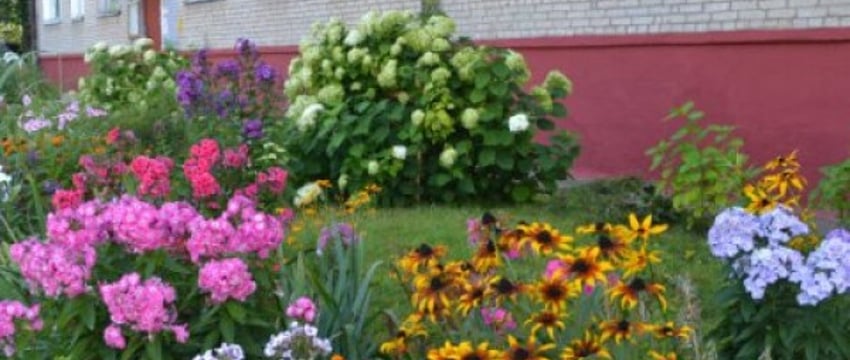За благоустройство клумбы у подъезда можно получить штраф