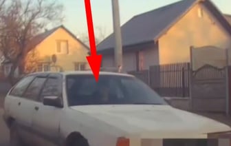 В Бресте задержан пьяный бесправник — видео