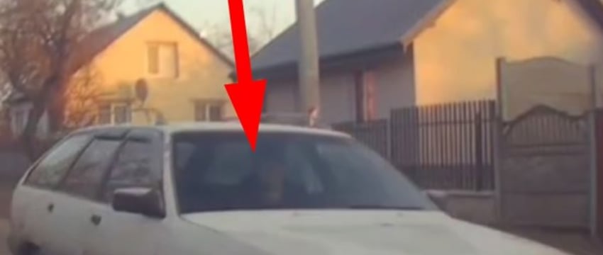 В Бресте задержан пьяный бесправник — видео