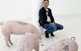 Художник бьет тату свиньям, а потом продает их за бешеные деньги