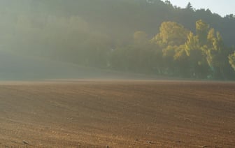 В Польше фиксируют увеличение попыток нелегальных пересечений границы со стороны Беларуси