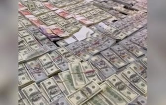 «В тайниках дома $3 миллиона». Задержан топ-менеджер БЖД