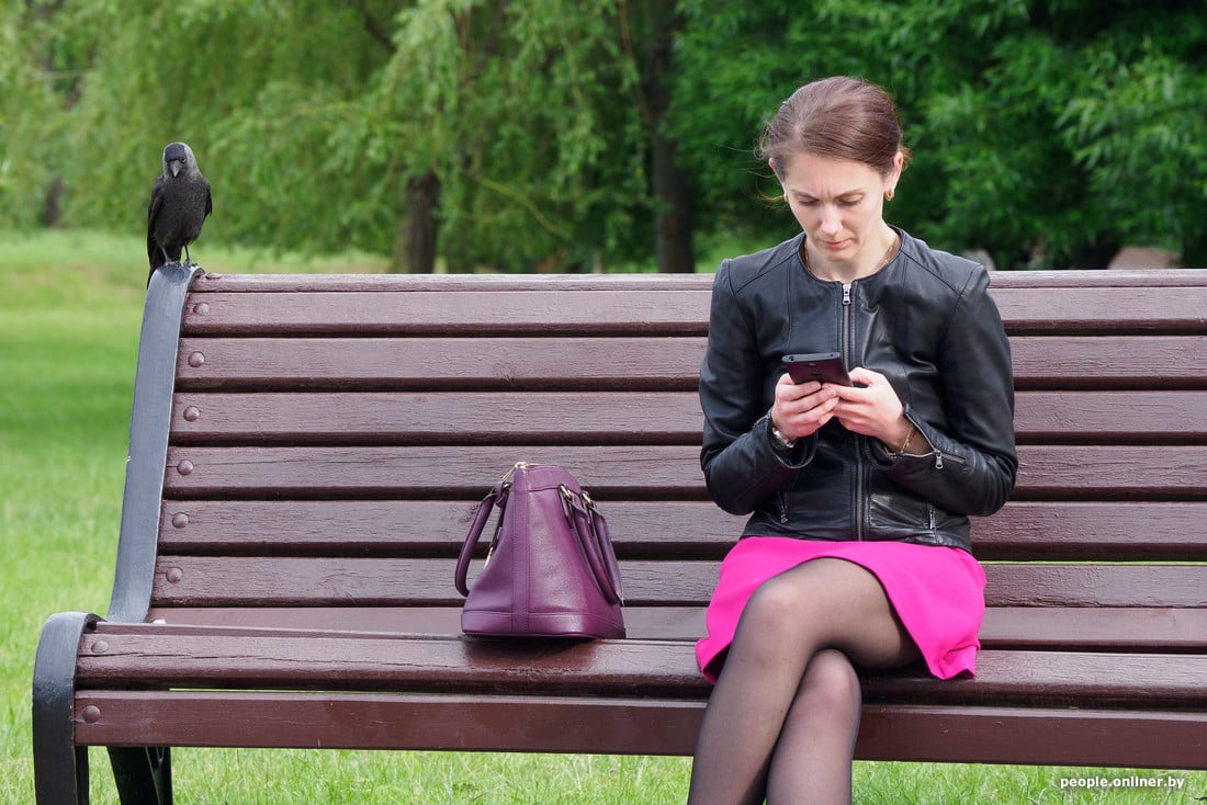 Вороны стали нападать на минчан — в соцсетях паника. Узнали у орнитолога, что происходит и опасны ли укусы птиц