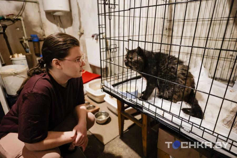 Девушка с инвалидностью спасает парализованных животных и делает им коляски