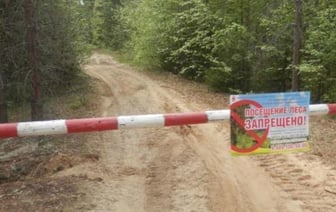 Ограничения на посещение лесов в Беларуси из-за пожарной опасности