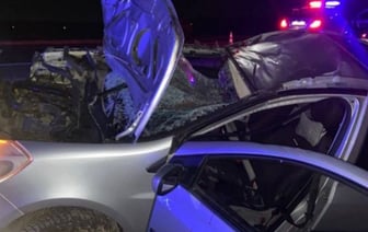 Лось стал причиной смертельного ДТП