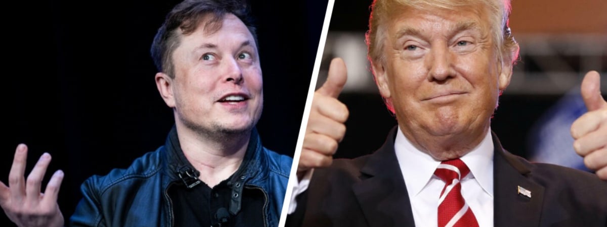 Стало известно, сколько миллионов долларов уже потратил Маск на предвыборную кампанию Трампа