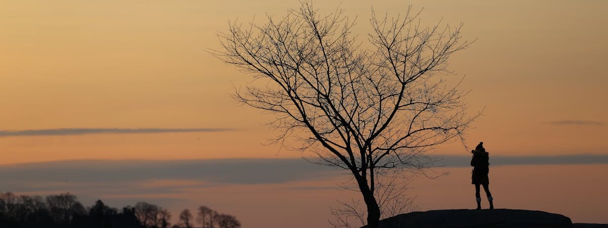 Тарифы США могут привести к сокращению мировой торговли на 1% - ВТО