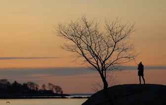 Тарифы США могут привести к сокращению мировой торговли на 1% - ВТО