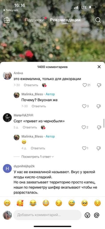 Малина размером с ладонь: шок-контент белорусского TikTok