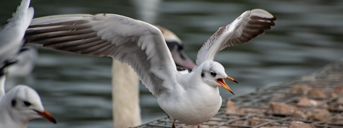 Uzbekistan Airways начала летать в Европу в обход территории России