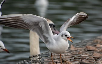Uzbekistan Airways начала летать в Европу в обход территории России