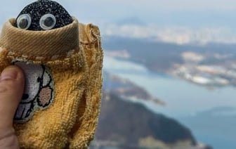 Камни вместо домашних животных: тренд в Южной Корее