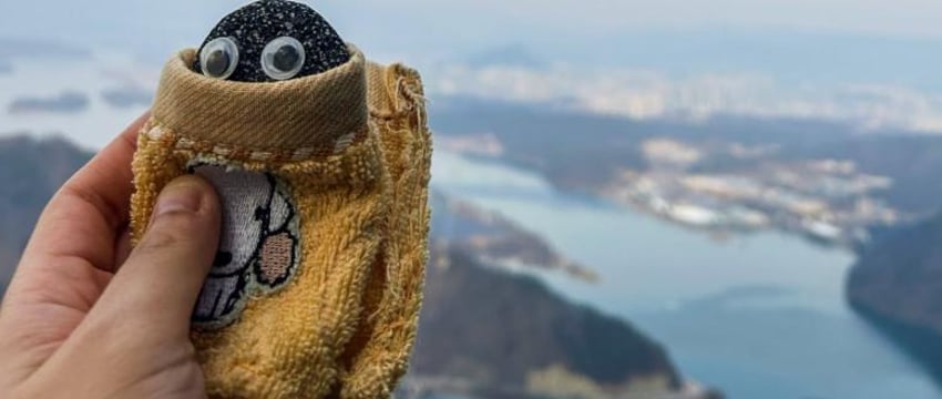 Камни вместо домашних животных: тренд в Южной Корее