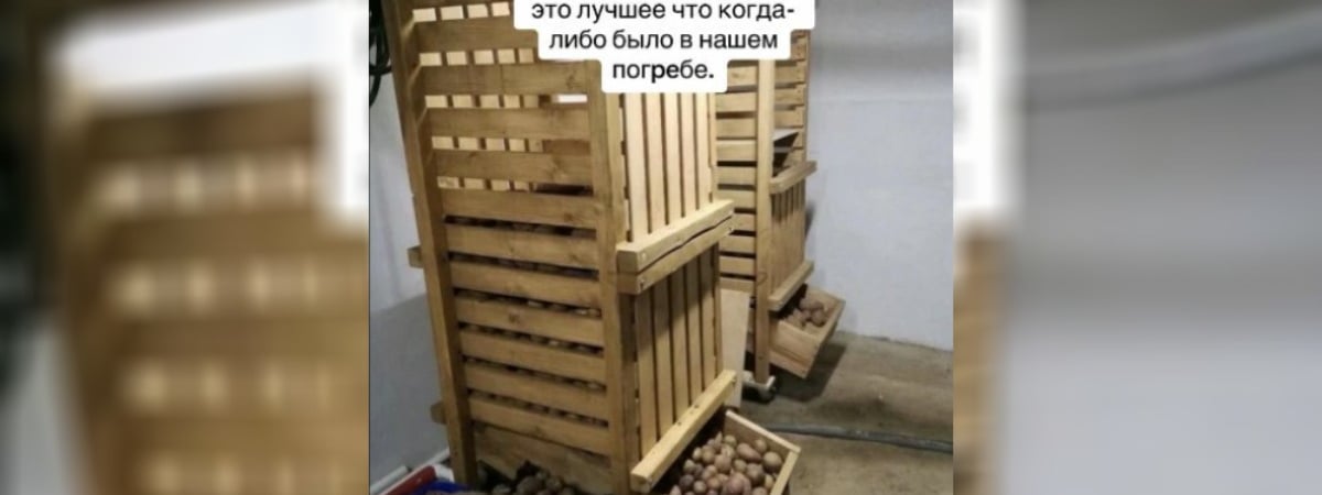 В TikTok показали «автокормушку белоруса». Как работает? — Фото