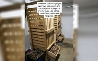 В TikTok показали «автокормушку белоруса». Как работает? — Фото