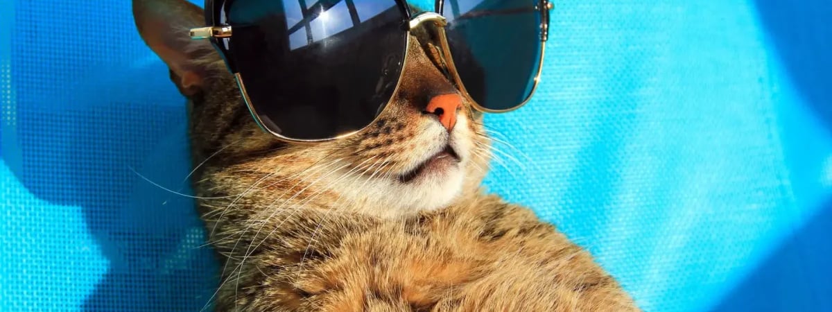 Синоптики рассказали, что в среду «в облаках появятся покраснения», а на выходных в Беларуси ожидается +17°C. Пора на шашлыки?