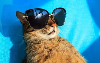 Синоптики рассказали, что в среду «в облаках появятся покраснения», а на выходных в Беларуси ожидается +17°C. Пора на шашлыки?