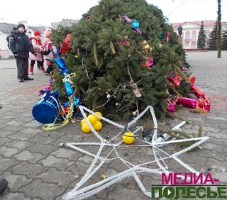 Рухнувшая ель в Лунинце, фото из архива "МП"