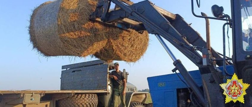 Белорусские военнослужащие убирают урожай