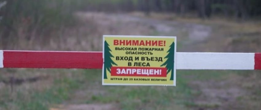 Во всех районах Брестской области введен запрет на посещение лесов