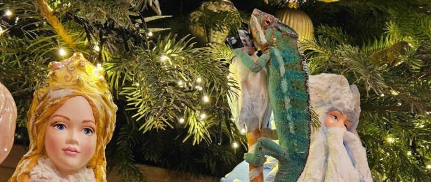 У Лукашенко живет хамелеон Жорик