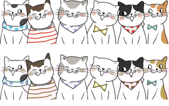 Эта головоломка с котиками проверит вашу внимательность. Сможете найти 11 отличий? — Фото