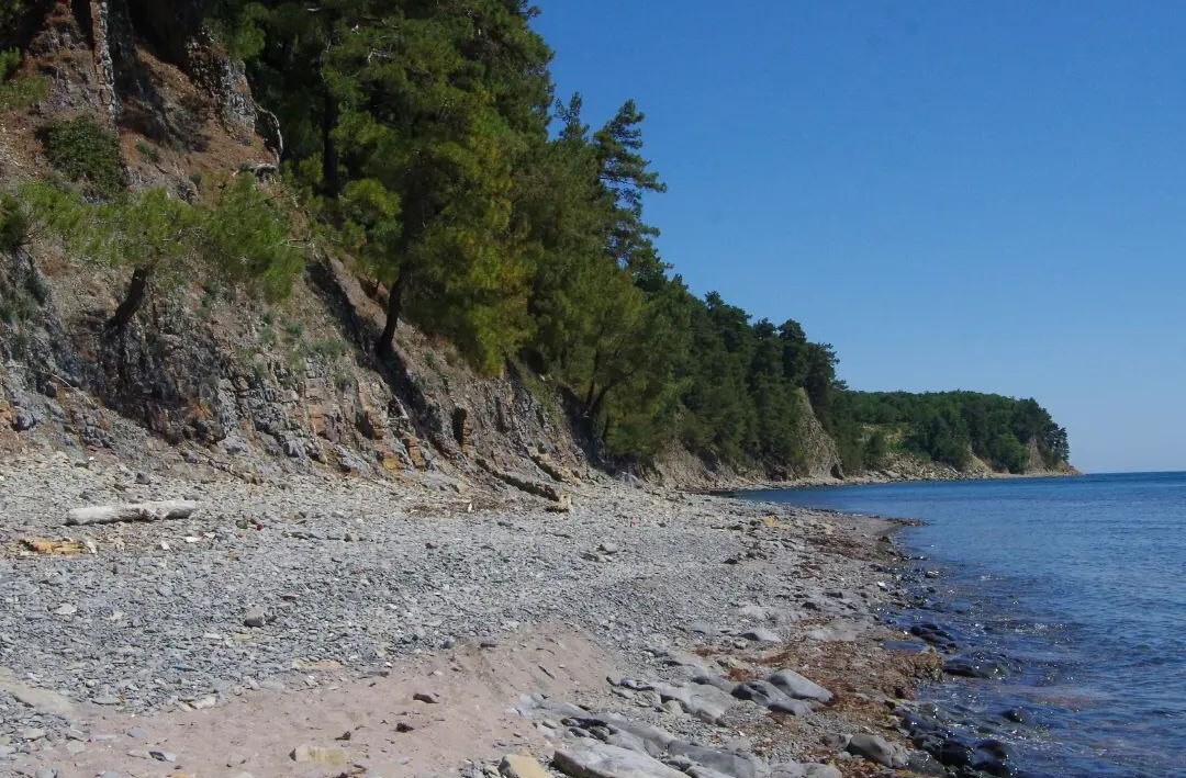 Белорусы отправились в Геленджик на Hyundai Terracan