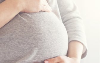 Эффективность проведения ЭКО на бюджетной основе в Брестской области