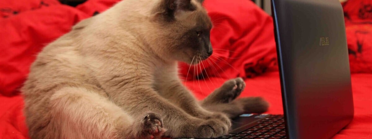 Минчанин пожаловался, что ему стало сложно работать на удалёнке. Юрист ответил, можно ли вернуться в офис