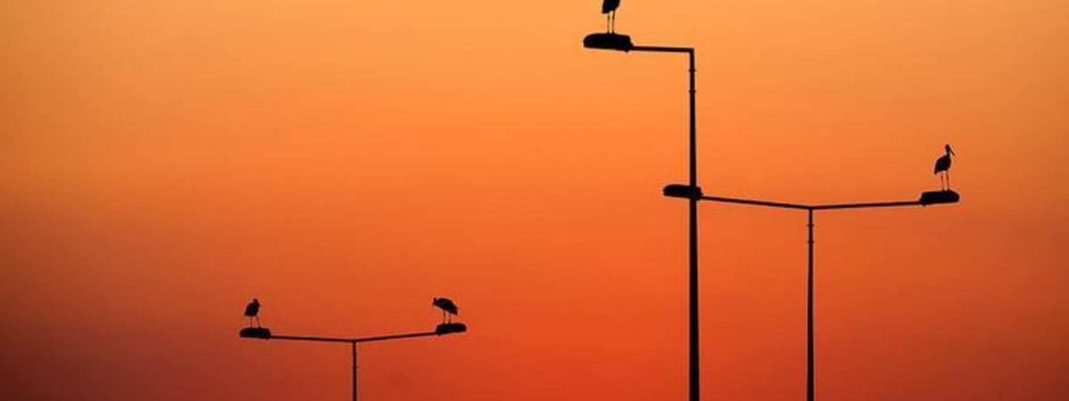 Ученые ожидают рекордную жару в 2024 году