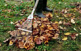 Как быстро убрать опавшую листву осенью? Этот трюк с граблями избавит от болей в спине — Полезно
