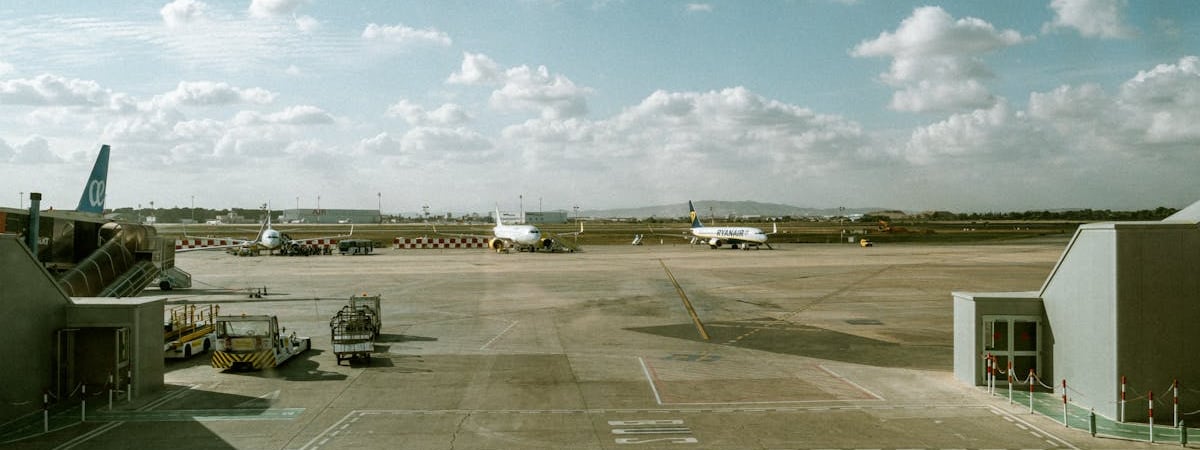 Авиакомпании мира в 2024 году увеличили пассажирооборот на 10,4%