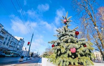 Выходные в Гомеле. Куда сходить 21-22 декабря?