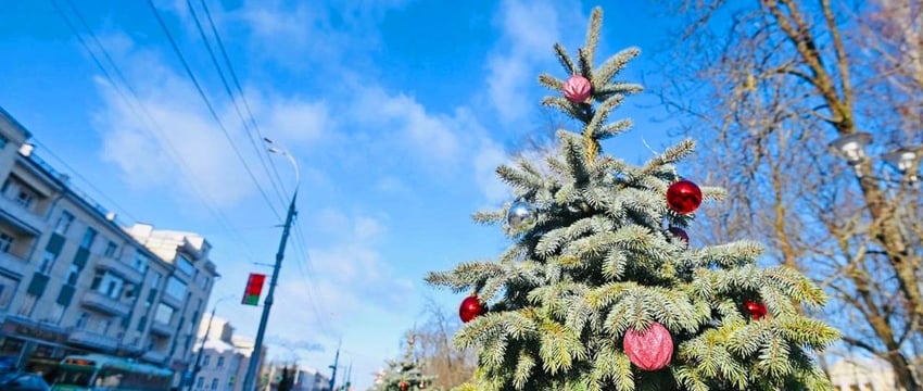 Выходные в Гомеле. Куда сходить 21-22 декабря?