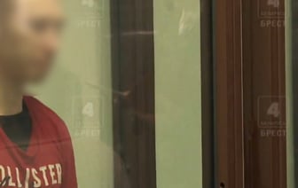 В Бресте вынесен приговор мошенникам из Жодино