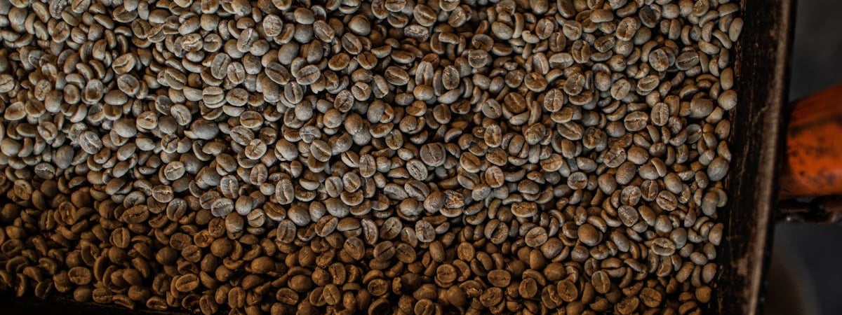 Германия запретила портам принимать танкеры с российским газом