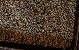 Германия запретила портам принимать танкеры с российским газом